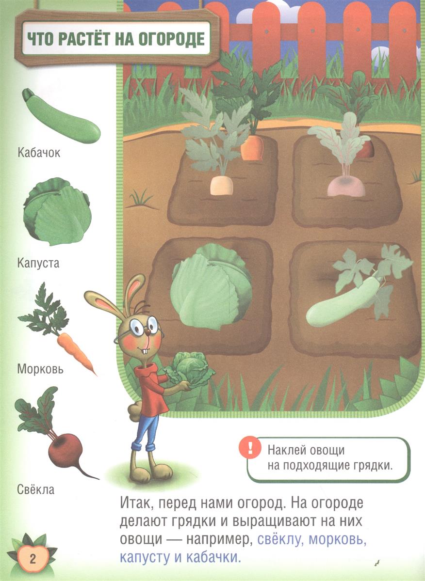 Обучающая книжка с наклейками – Фрукты и овощи  